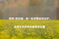 视频|邢自强：新一轮政策即将出炉，消费会放到特别重要的位置