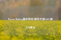 Waystar Holding盘中异动 股价大涨5.03%报32.95美元